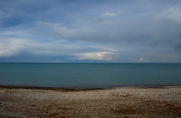 DSC_393811.jpg