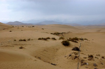 DSC_385711.jpg