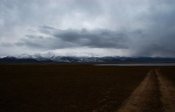 DSC_387311.jpg