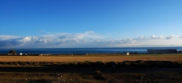 DSC_390011.jpg