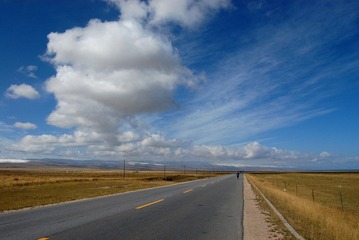 DSC_392711.jpg