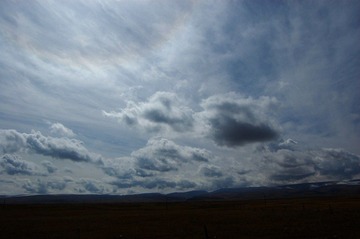 DSC_393111.jpg