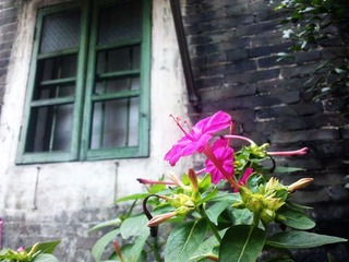 C360_2011-10-23 17-14-21_org.jpg