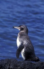 DSCN1832c.jpg