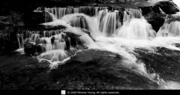 DSC_3184ns