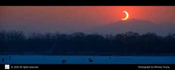 DSC_1856_1