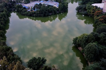 DSC_7925.jpg