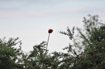 789817