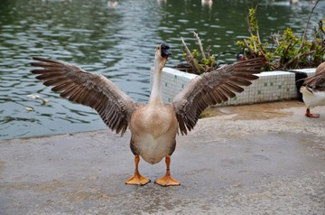 DSC_6367.jpg