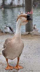 DSC_6368.jpg