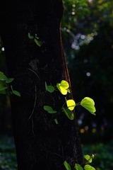 99C3597.JPG