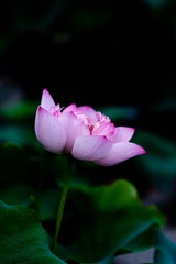 3F8B354A-94E3-49DB-B810-EFBBB0E6E709/L0/001
