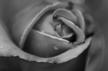 _IGP9495