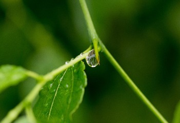 _IGP9734