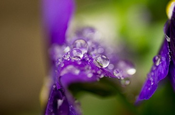 _IGP9939