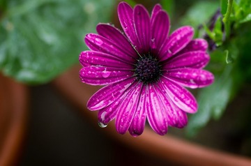 _IGP9946