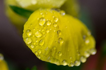 _IGP9966