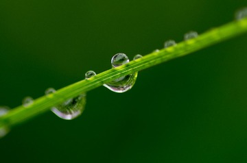 _IGP9983