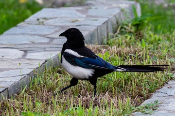 C8A65BEC-39F0-4765-B27E-356D31B6D453/L0/001