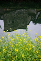 IMGP1145.jpg