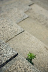 _IGP8032.jpg