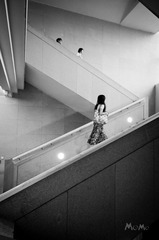 MOMO0134.jpg