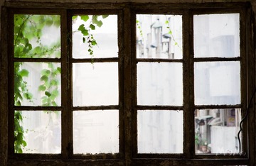 IMGP9475.JPG