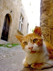 Rhodes 008