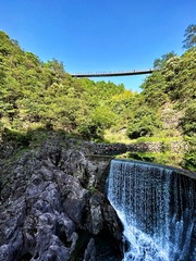D5626F1E-B8C7-4F2F-A995-2254DCBF3667/L0/001