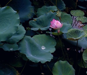 IMG_20230715_111500