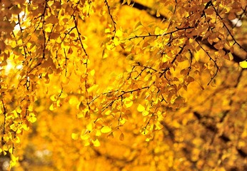 DSC_5212.jpg