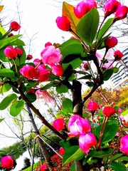 5CC0002E-A806-482F-B904-35EA74C29E5E/L0/001