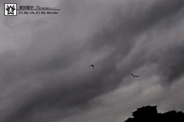 DSC_1622-1