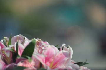 DSC_1757.JPG