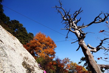 IMG_4374.jpg