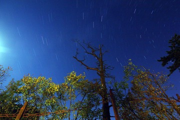 IMG_4156.jpg