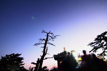 IMG_4171.jpg