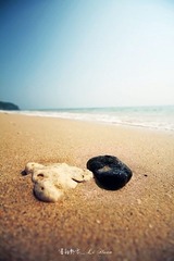 IMG_4788.JPG