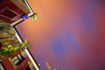 IMG_9919.jpg