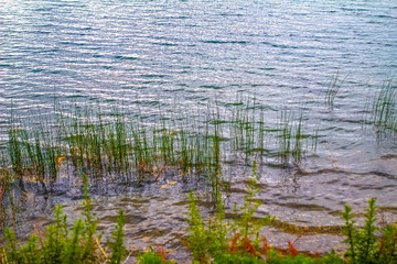 IMG_7203-2