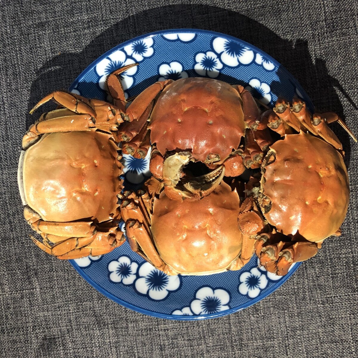 如何正确吃螃蟹 小孩子吃螃蟹的好处