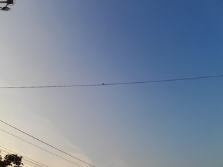 1393524