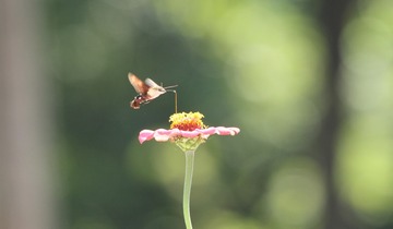 1320502