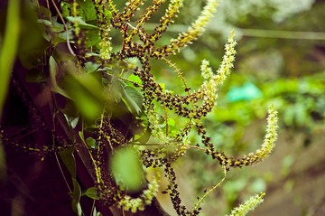 _DSC1804.jpg