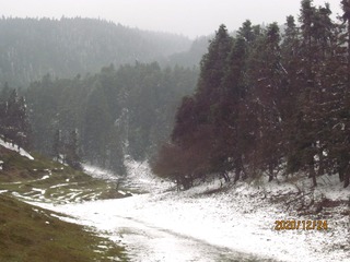 200353
