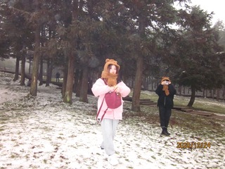 200313