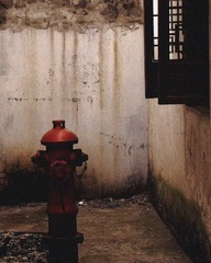 直立.jpg