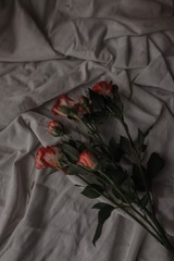 D79E7EE7-86F4-4E04-8E7B-FF57D0EA1642/L0/001