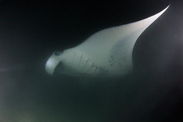 8C0A8672