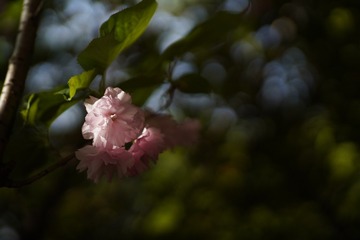 D36B40E6-7473-4296-87A2-CE81E4988CC6/L0/001